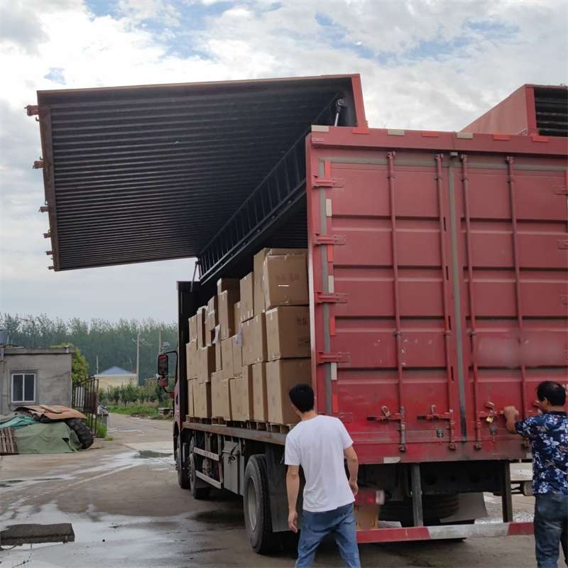 齐河县扎囊县：物流专线的高效货运之旅